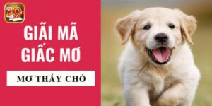 Mơ Thấy Chó Đánh Con Gì Mang Lại May Mắn, Tài Lộc Ngập Nhà