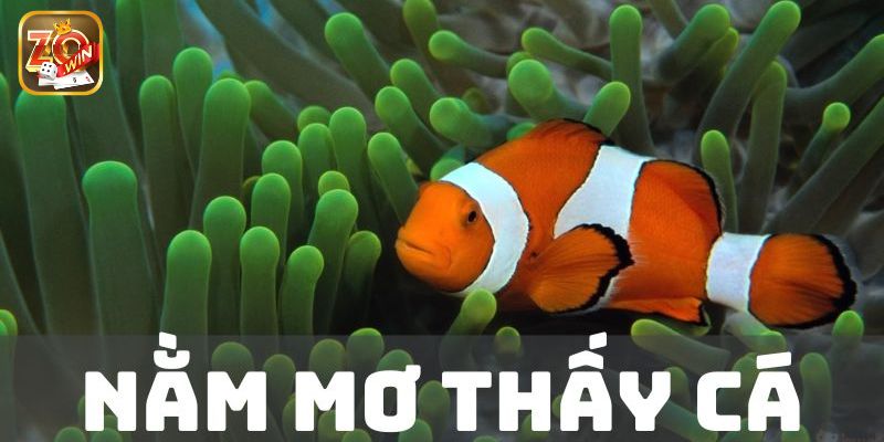 Ý nghĩa chi tiết của giấc mơ thấy cá là gì?