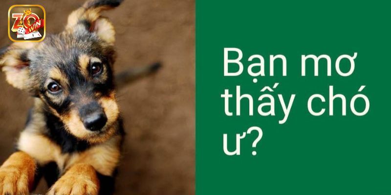 Điềm báo về sự nghiệp khi mơ thấy chó con